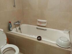 Oleander Towers (D12), Apartment #504375271